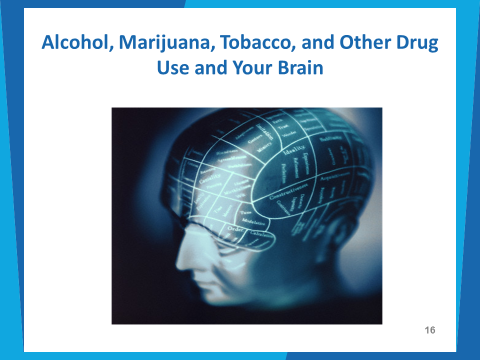 Pic1 shows what various areas of brain are related to