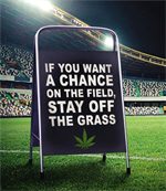 Pic3 Billboard on field saying: If you want a Chance on the Field, Stay off the Grass